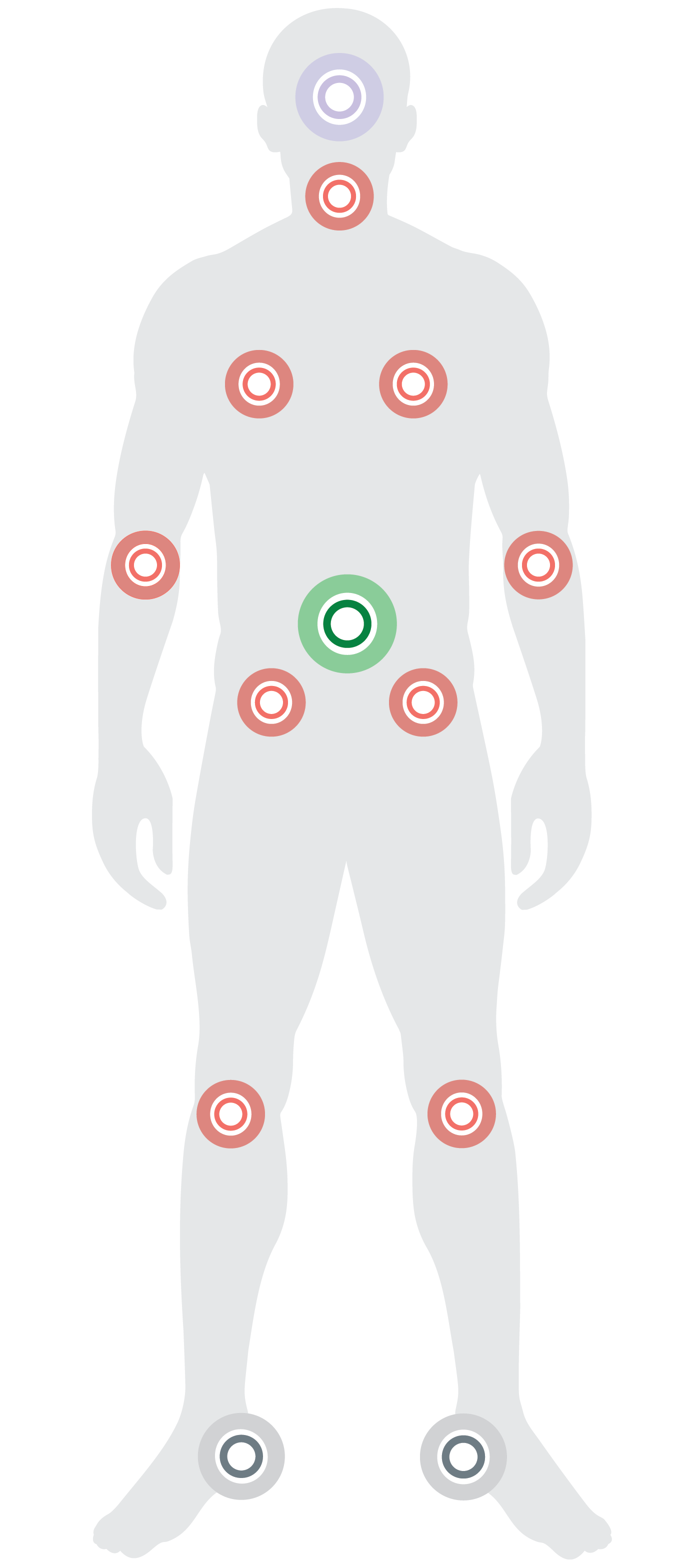 TP_Main_Body_3.png